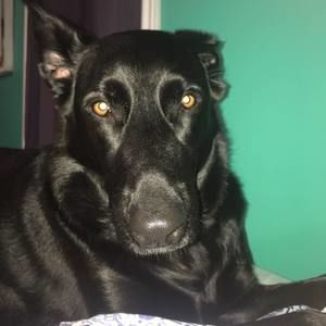 Meet your Posher, Mckenna